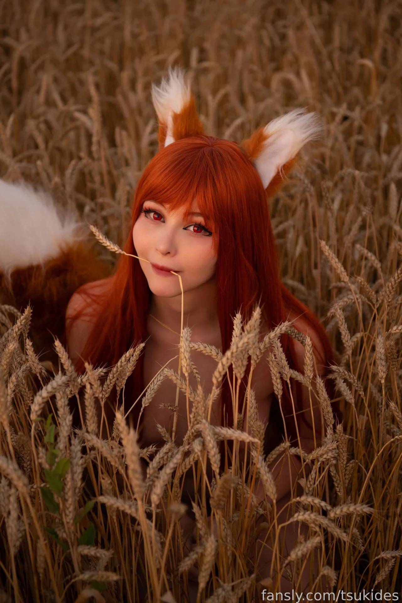 Tsuki Desu- Holo in a field-erohere26.webp